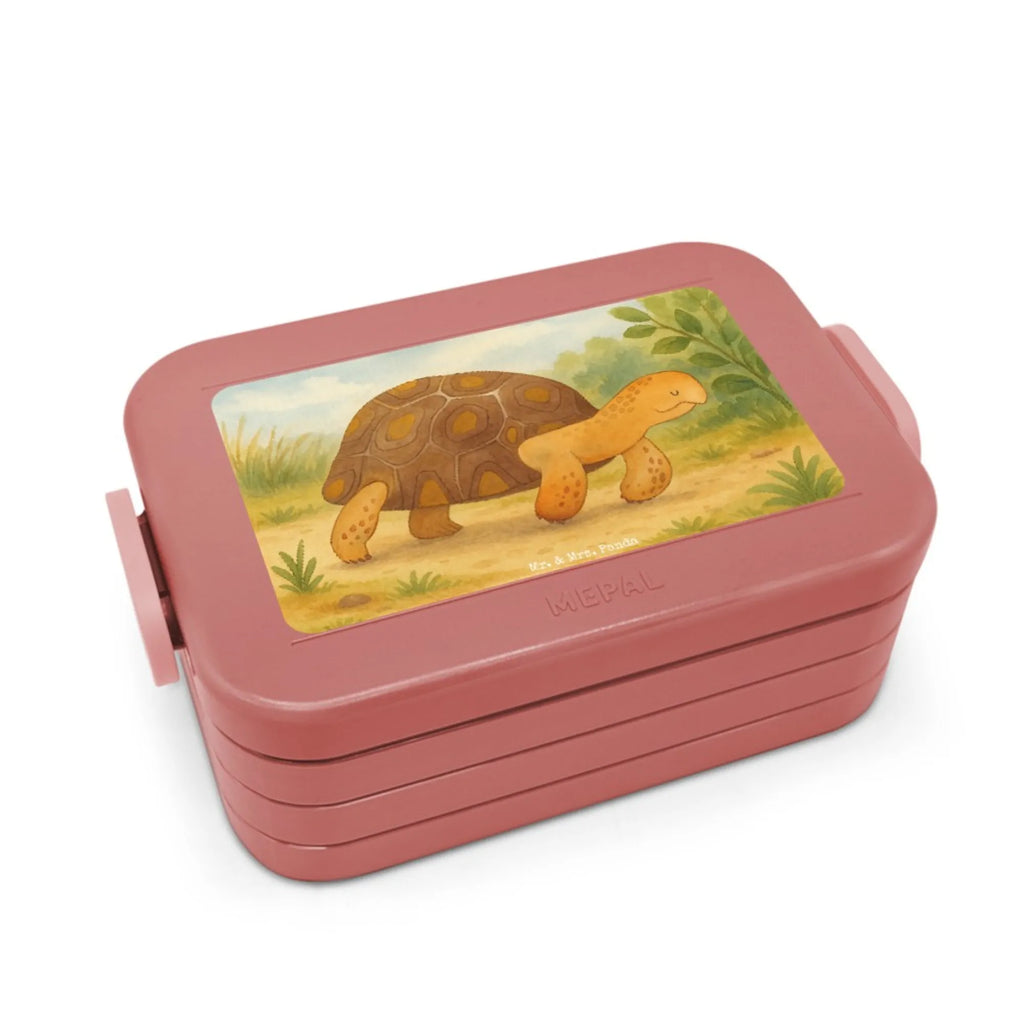 MEPAL Bentobox Schildkröte Marschieren Design Lunchbox, Brotdose, Bentobox, Meerestiere, Meer, Urlaub, Motivation, Inspiration, Lieblingsmensch, Abenteuer, Neustart, Schildkröte, Reiselust, get lost, Schildkröten