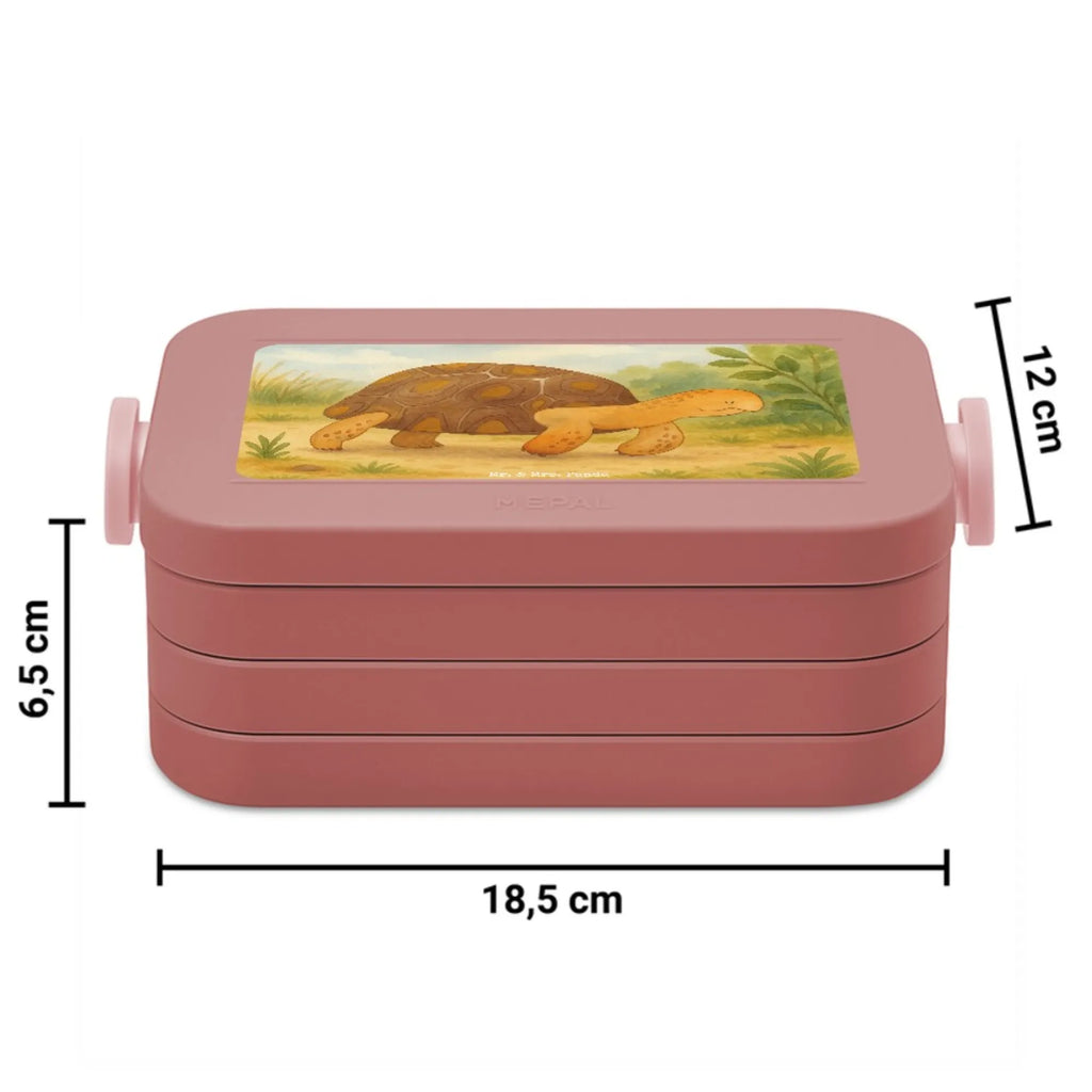 MEPAL Bentobox Schildkröte Marschieren Design Lunchbox, Brotdose, Bentobox, Meerestiere, Meer, Urlaub, Motivation, Inspiration, Lieblingsmensch, Abenteuer, Neustart, Schildkröte, Reiselust, get lost, Schildkröten