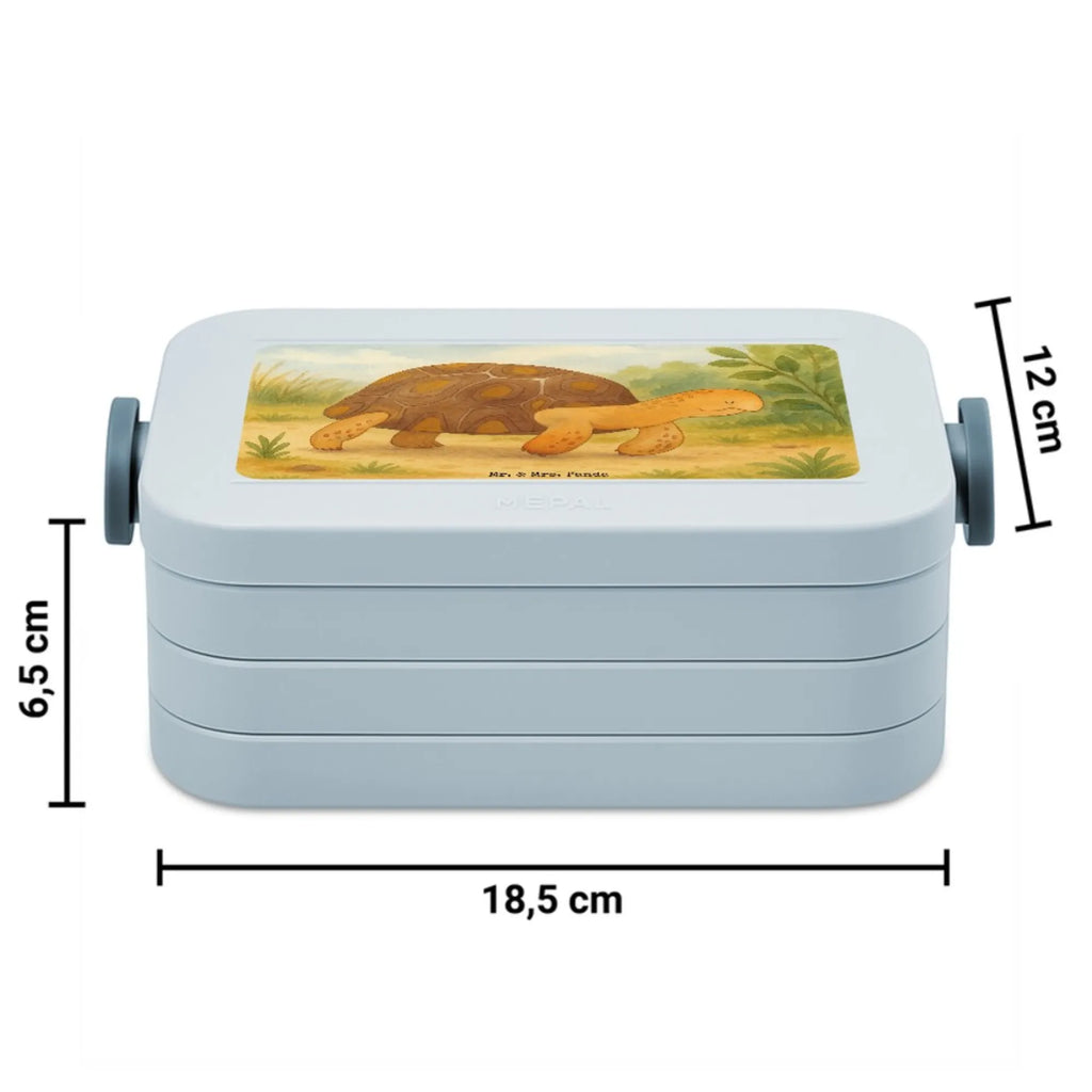 MEPAL Bentobox Schildkröte Marschieren Design Lunchbox, Brotdose, Bentobox, Meerestiere, Meer, Urlaub, Motivation, Inspiration, Lieblingsmensch, Abenteuer, Neustart, Schildkröte, Reiselust, get lost, Schildkröten