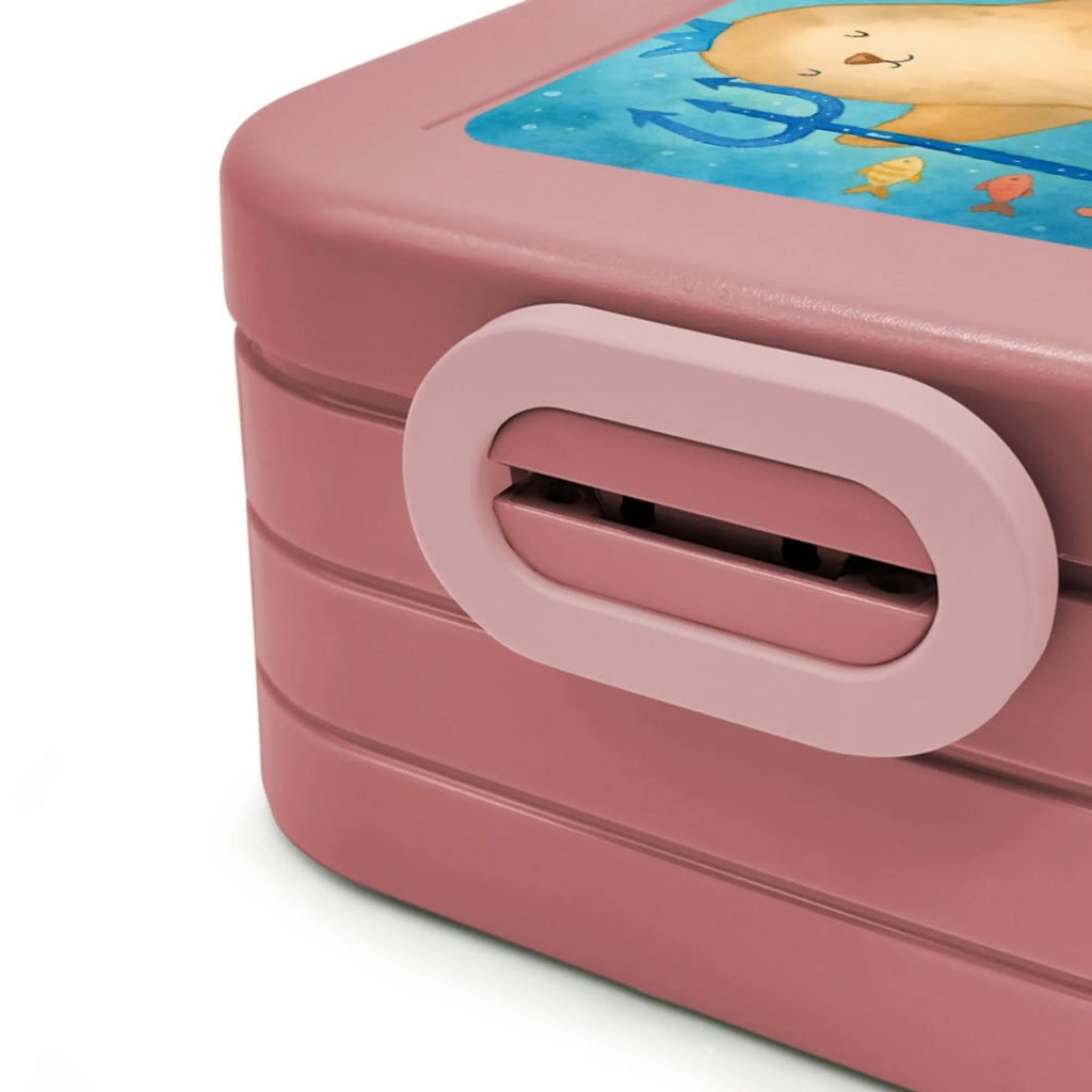 MEPAL Bentobox Sternzeichen Wassermann Design Bentobox, Brotdose, Lunchbox, Tierkreiszeichen, Sternzeichen, Horoskop, Astrologie, Aszendent, Geschenk Februar, Wassermann Geschenk, Geschenk Januar, Nix, Geburtstag Januar, Meer Geschenk, Meermann, Geburtstag Februar, Wassermann Sternzeichen