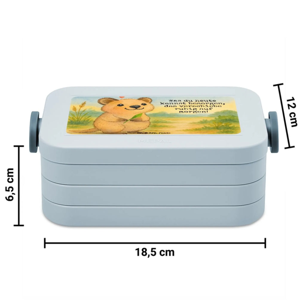 MEPAL Bentobox Quokka Happy Design Lunchbox, Brotdose, Bentobox, Tiermotive, Gute Laune, lustige Sprüche, Tiere, Lustiger Spruch, Aufschieberitis, Quokka, Niedliches Tier, Dinge erledigen, Verschieben