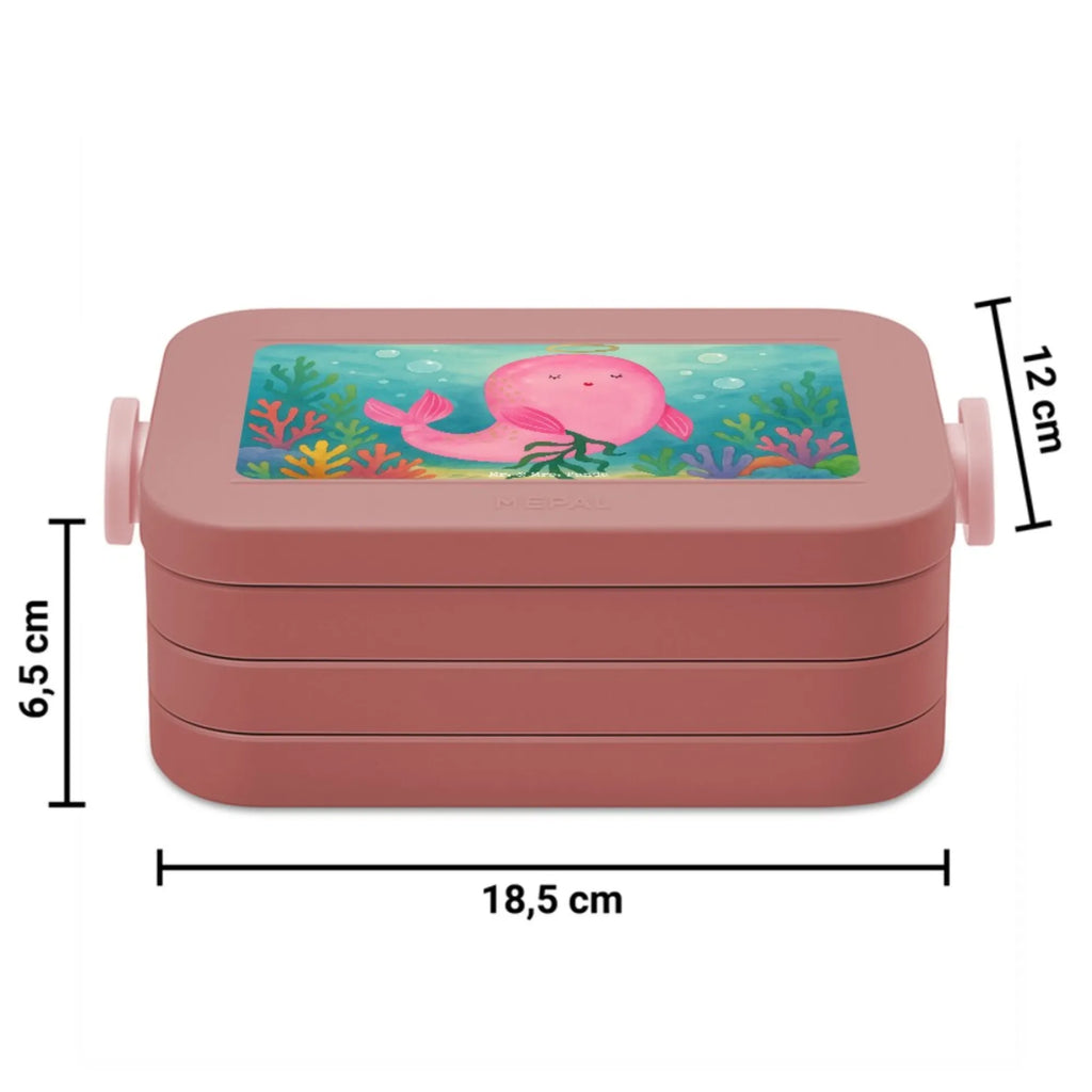 MEPAL Bentobox Sternzeichen Jungfrau Design Brotdose, Lunchbox, Bentobox, Tierkreiszeichen, Sternzeichen, Horoskop, Astrologie, Aszendent, Jungfrau Sternzeichen, Geburtstag September, Meerjungfrau, Geschenk, Geschenk September, Geburtstag August, Jungfrau, Geschenk August, Jungfer