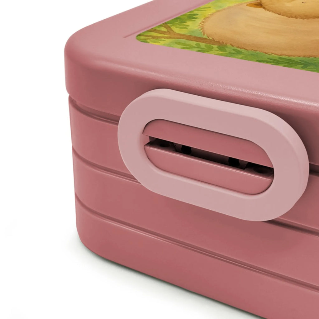 MEPAL Bentobox Wombat Design Brotdose, Lunchbox, Bentobox, Tiermotive, Gute Laune, lustige Sprüche, Tiere, Australien, Das Leben ist schön, Motivation, Spruch, Wombat