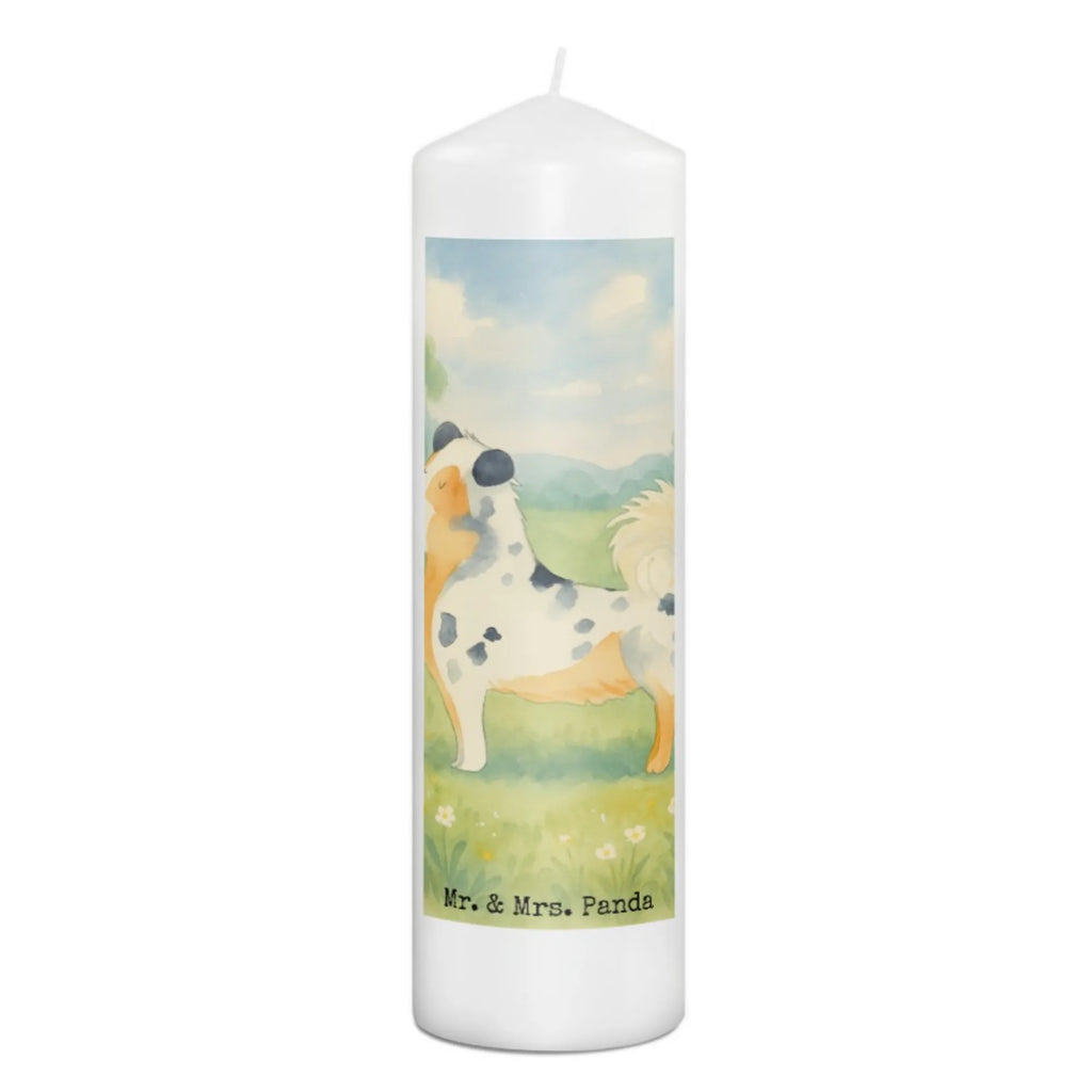 Candle Dog Australia Shepherd Design Sojawachskerze, Kerze Mit Duft, Kerze Mit Namensgravur, Stumpenkerze, Gedenkkerze, Gartenkerze, Kerze, Teelicht, Votivkerze, Andachtskerze, Handgemachte Kerze, Grablicht, Kerze Mit Fotoeinleger, Kerze Mit Gravur, Kerze Für Ostern, Grabkerze, Dinnerkerzenpaar, Kerze Für Kommunion, Blockkerze, Tischkerze, Stabkerze, Handgegossene Kerze, Duftkerze, Kerze Mit Motiv, Kerze Für Taufe, Kerze Für Geburtstag, Kerze Für Weihnachten, Kerze Für Advent, Kerze Für Firmung, Laternenkerze, Fair-Trade-Kerze, Stearin­kerze, Stumpenkerzen-Set, Kerze Ohne Duft, Kerze Mit Spruch, Kerze Mit Prägung, Kerze Für Hochzeit, Bio-Kerze, Tafelkerze, Dinnerkerze, Trauerkerze, Metall-Kerze, Glas-Kerze, Outdoor-Kerze, Streukerze, Kerze Als Gastgeschenk, Hund, Hundemotiv, Haustier, Hunderasse, Tierliebhaber, Hundebesitzer, Sprüche, Shepherd, Australien Shepherd, Hundeliebe, Familienhund, Spruch