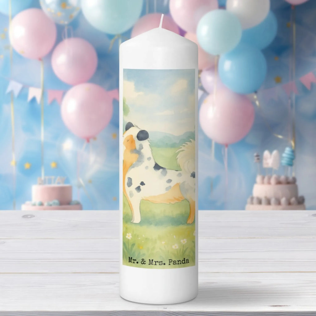 Candle Dog Australia Shepherd Design Sojawachskerze, Kerze Mit Duft, Kerze Mit Namensgravur, Stumpenkerze, Gedenkkerze, Gartenkerze, Kerze, Teelicht, Votivkerze, Andachtskerze, Handgemachte Kerze, Grablicht, Kerze Mit Fotoeinleger, Kerze Mit Gravur, Kerze Für Ostern, Grabkerze, Dinnerkerzenpaar, Kerze Für Kommunion, Blockkerze, Tischkerze, Stabkerze, Handgegossene Kerze, Duftkerze, Kerze Mit Motiv, Kerze Für Taufe, Kerze Für Geburtstag, Kerze Für Weihnachten, Kerze Für Advent, Kerze Für Firmung, Laternenkerze, Fair-Trade-Kerze, Stearin­kerze, Stumpenkerzen-Set, Kerze Ohne Duft, Kerze Mit Spruch, Kerze Mit Prägung, Kerze Für Hochzeit, Bio-Kerze, Tafelkerze, Dinnerkerze, Trauerkerze, Metall-Kerze, Glas-Kerze, Outdoor-Kerze, Streukerze, Kerze Als Gastgeschenk, Hund, Hundemotiv, Haustier, Hunderasse, Tierliebhaber, Hundebesitzer, Sprüche, Shepherd, Australien Shepherd, Hundeliebe, Familienhund, Spruch