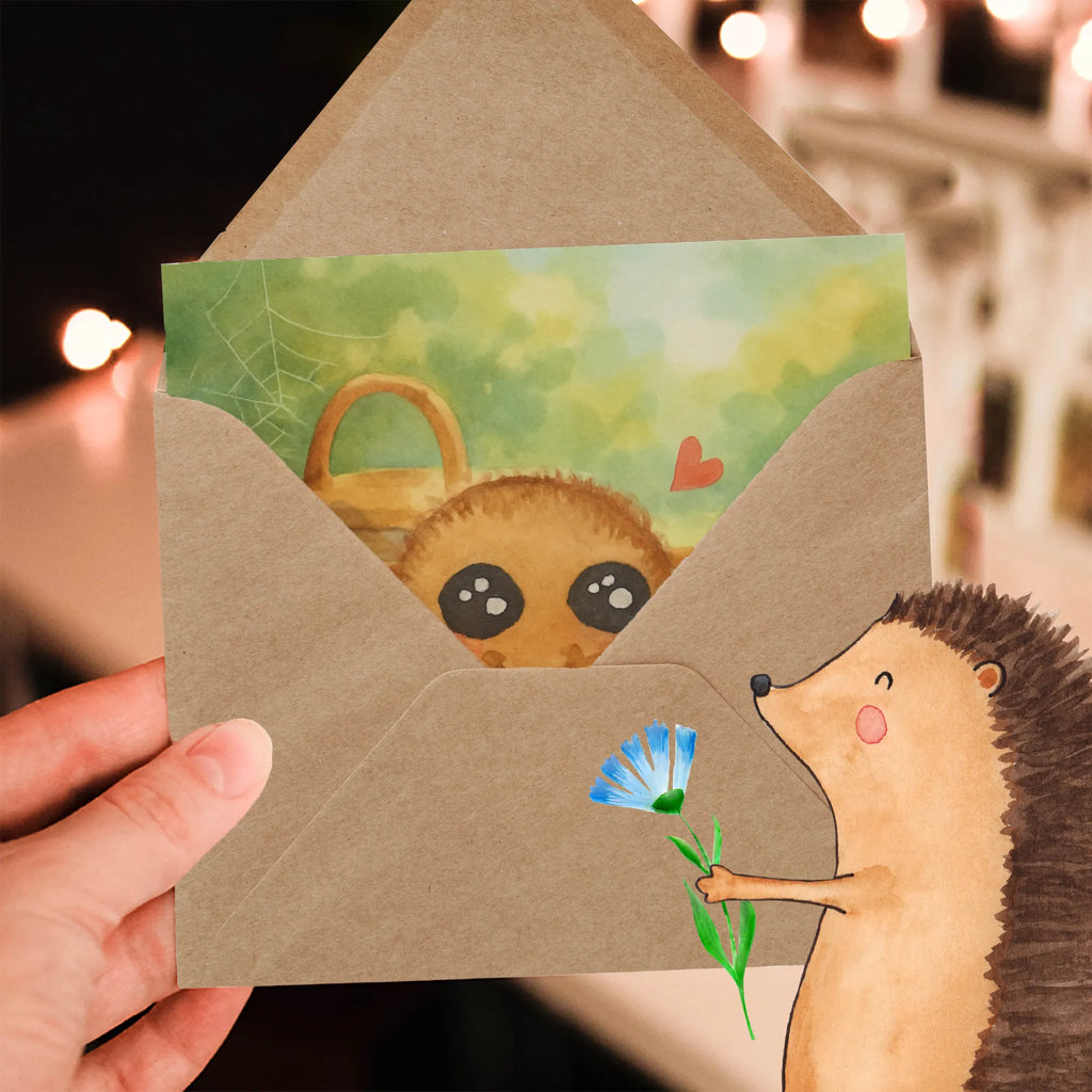 Deluxe Card Spider Agathe Sandwich Design Spider Agathe, Spider, Agathe, Videos, Merchandise