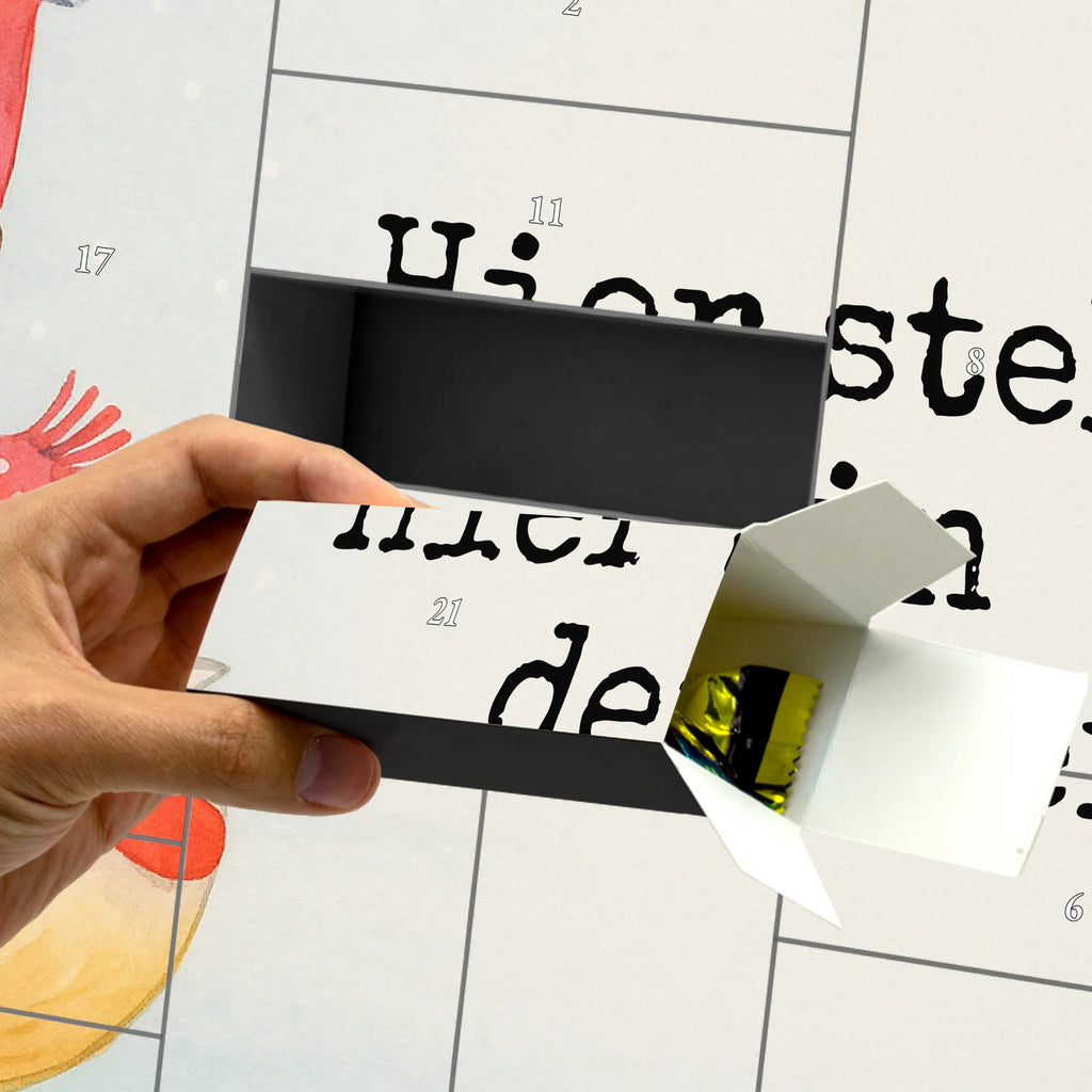  Fox skates Design Winter, Christmas, Christmas time, snow, christmas eve, winter, christmas, christmas days, christmas tree, santa claus, christmas present, christmas time, fir tree