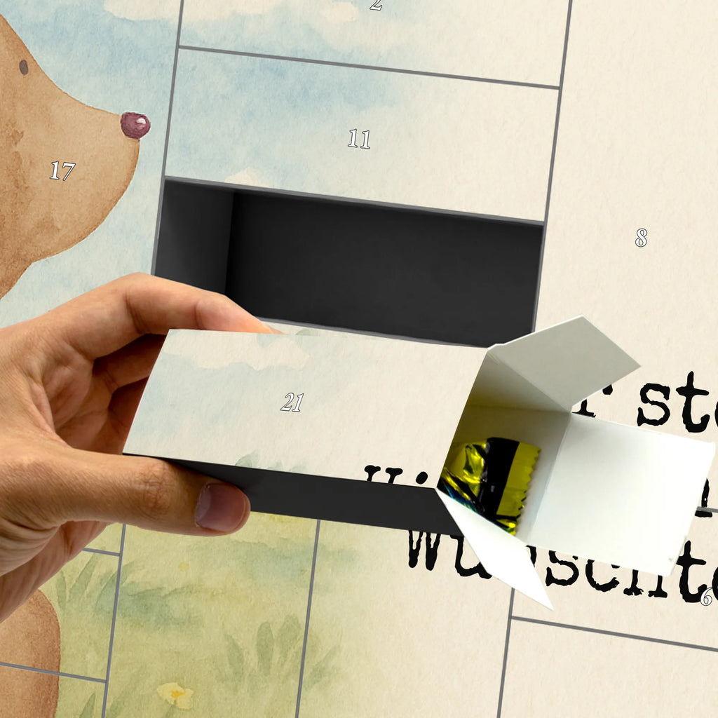  niedźwiedź spojrzenie przez ramię Design Niedźwiedź, Miś, Pluszowy miś