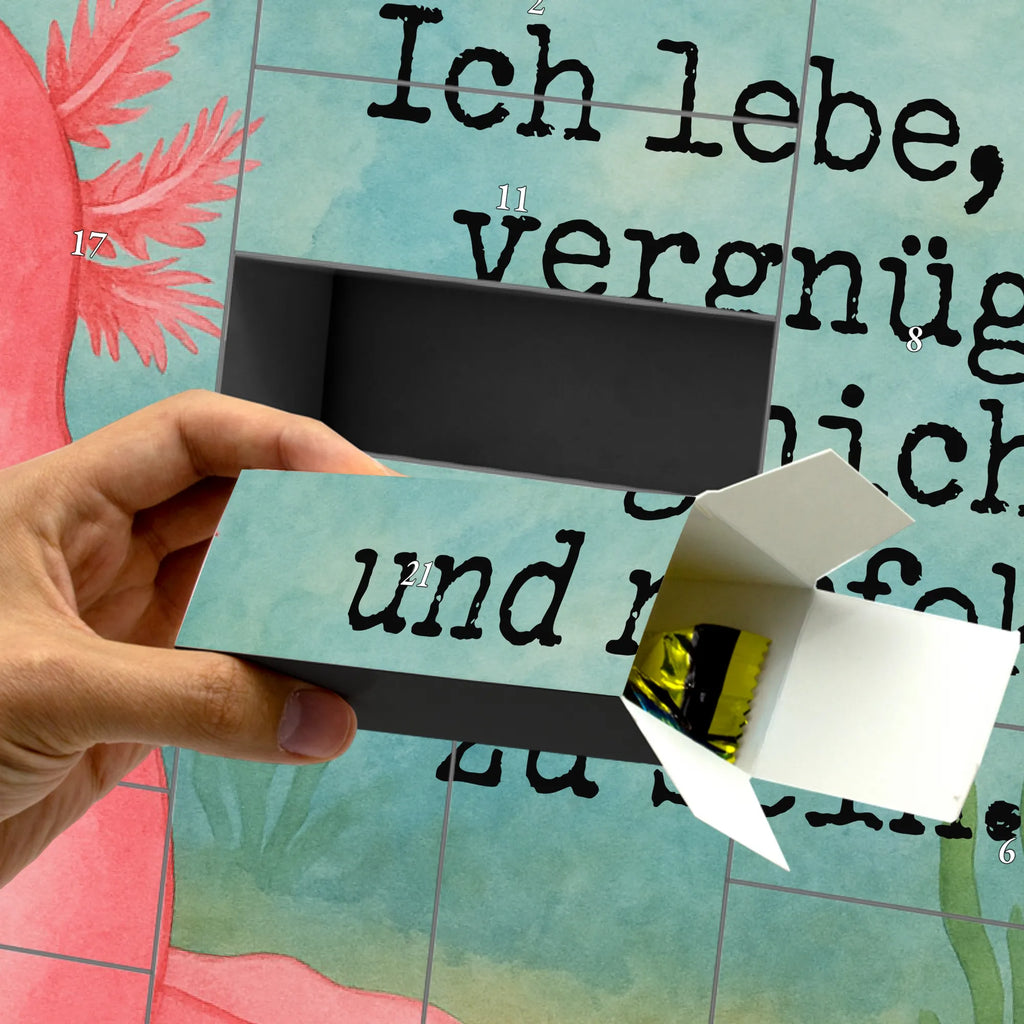 Fillable advent calendar axolotl zero Design Advent calendar men, self filling, Advent calendar, Advent calendar women, Advent calendar 2020, Axolotl, Axelotl, marine animals, Mexican walking fish, salamander, girlfriend, love, cheerful, lifestyle, wisdom, happy, Axolot, worldly wisdom, contented