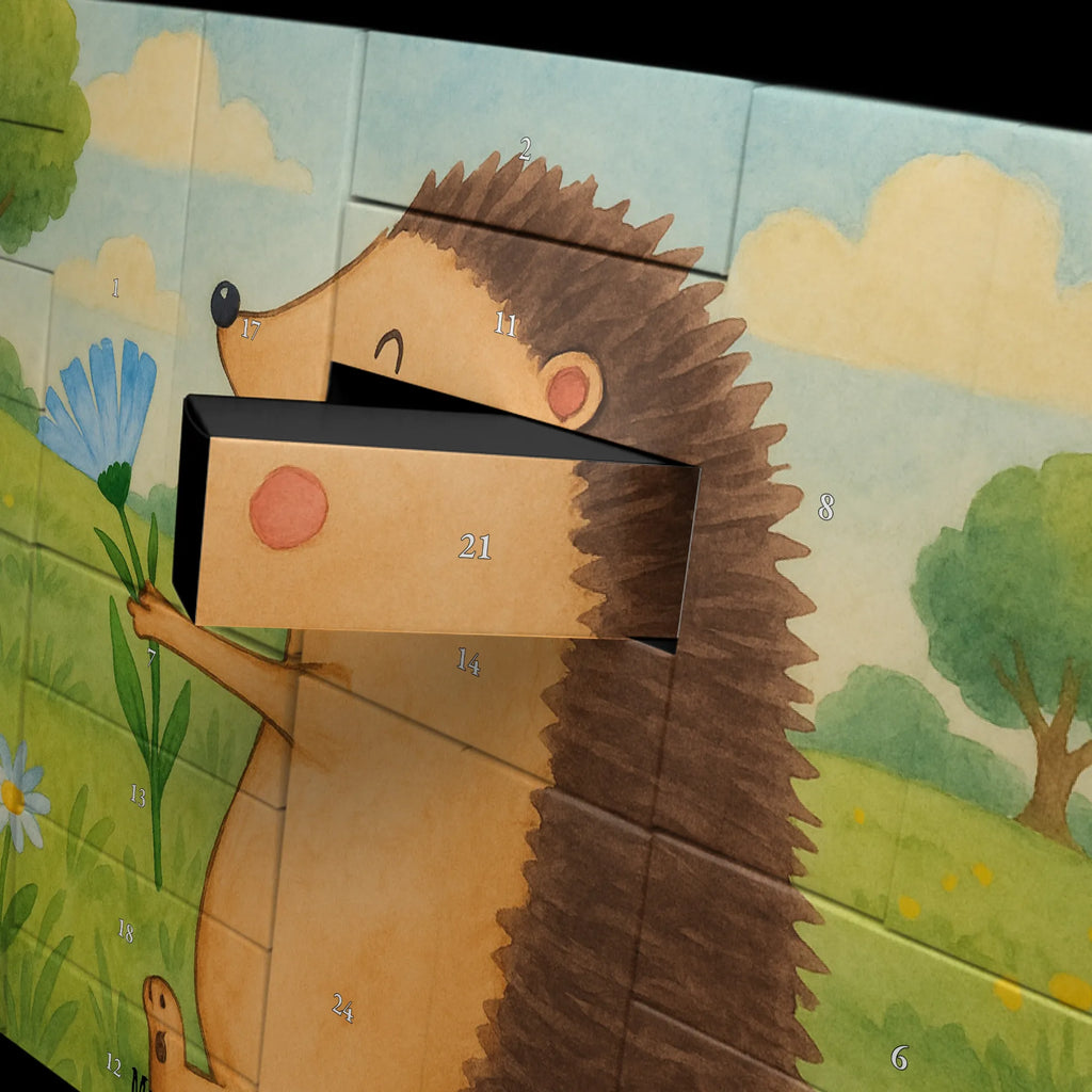 Befüllbarer Adventskalender Igel Blumen Design Weihnachtskalender Boxen, Adventskalender mit 24 Schachteln, Adventskalender Boxen, Adventskalender für Erwachsene, Adventskalender Zum Selbst Befüllen, Adventskalender Zum Befüllen, Adventskalender, Diy Adventskalender, Adventskalender 24 Boxen, Adventskalender Box, Adventskalender ohne Inhalt, Geschenke Adventskalender, Erwachsenen Adventskalender, Karton Adventskalender, Adventskalender Karton, Adventskalender Schachtel, Weihnachtskalender Zum Befüllen, Weihnachtskalender, Adventskalender Zum Aufstellen, Weihnachtskalender Selbst Befüllen, Adventskalender Selbst Befüllen, Adventskalender Zum Füllen, Schachtel Adventskalender, Adventskalender Schachteln, Befüllbarer Adventskalender, Weihnachtskalender Schachteln, Tisch Adventskalender, Bastel Adventskalender, Adventskalender leer, Adventskalender Deko, Geschenkekalender, Leerer Adventskalender, Kalender Zum Befüllen, Lustige Sprüche, Tiere, Tiermotive, Gute Laune, Genesungswünsche, Krankenhaus, krank, Gute Besserung, Krankheit, Besuch, Igel