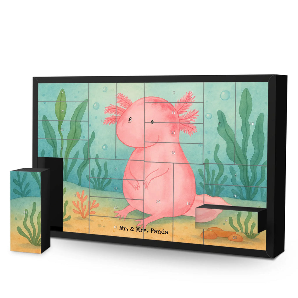 Fillable advent calendar axolotl zero Design Advent calendar men, self filling, Advent calendar, Advent calendar women, Advent calendar 2020, Axolotl, Axelotl, marine animals, Mexican walking fish, salamander, girlfriend, love, cheerful, lifestyle, wisdom, happy, Axolot, worldly wisdom, contented