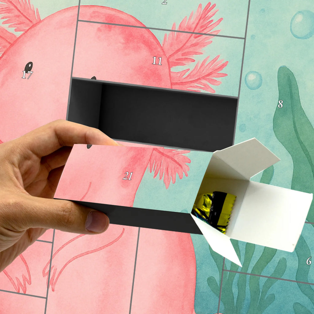 Fillable advent calendar axolotl zero Design Advent calendar men, self filling, Advent calendar, Advent calendar women, Advent calendar 2020, Axolotl, Axelotl, marine animals, Mexican walking fish, salamander, girlfriend, love, cheerful, lifestyle, wisdom, happy, Axolot, worldly wisdom, contented