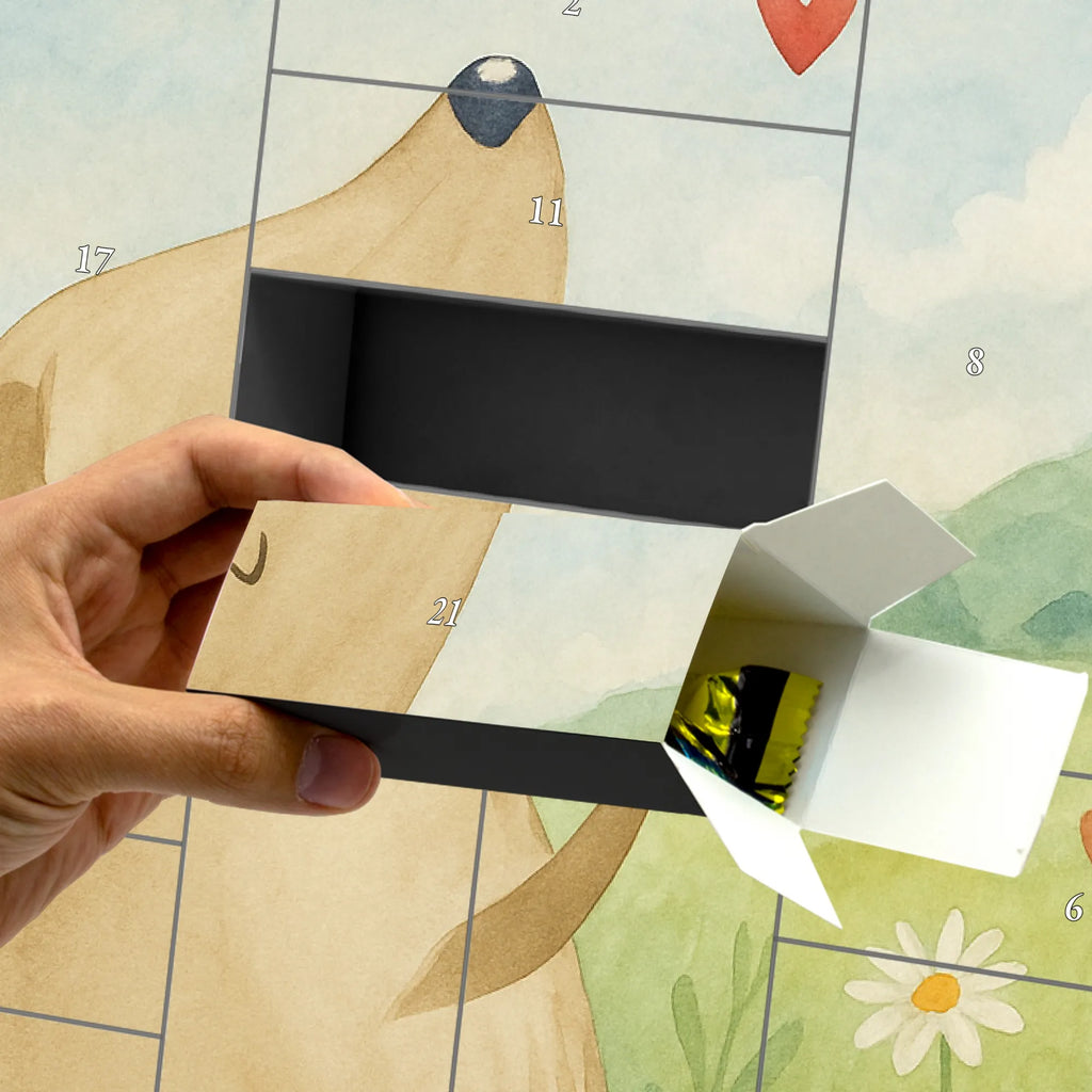 Fillable advent calendar Dog Love Design dog breed, mutt, hound, woof, dog mama, love dogs, love for dogs, dog decorative items, bag with dog print, funny gifts for dog owners, what do you give a dog lover, Christmas gifts for dogs, gifts for dogs, dog sayings, mistress, dog love, dog happiness, dog owner