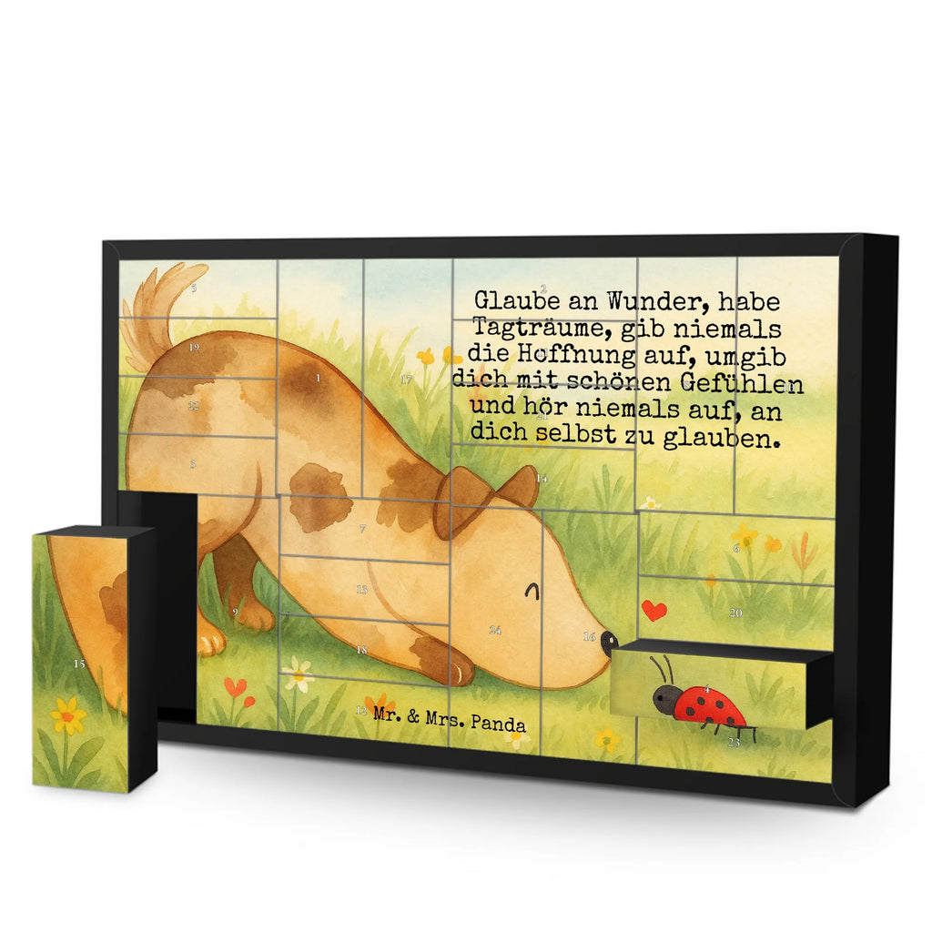 Fillable advent calendar Dog ladybug Design Adventskalender 24 Boxen, Weihnachtskalender Zum Befüllen, Adventskalender Zum Befüllen, Erwachsenen Adventskalender, Weihnachtskalender Boxen, Kalender Zum Befüllen, Bastel Adventskalender, Geschenke Adventskalender, Adventskalender Schachteln, Adventskalender Zum Selbst Befüllen, Adventskalender leer, Tisch Adventskalender, Befüllbarer Adventskalender, Karton Adventskalender, Adventskalender für Erwachsene, Adventskalender Karton, Adventskalender Schachtel, Schachtel Adventskalender, Weihnachtskalender Selbst Befüllen, Adventskalender Zum Aufstellen, Diy Adventskalender, Leerer Adventskalender, Adventskalender ohne Inhalt, Adventskalender Boxen, Adventskalender Selbst Befüllen, Adventskalender mit 24 Schachteln, Weihnachtskalender Schachteln, Adventskalender Deko, Geschenkekalender, Adventskalender, Adventskalender Zum Füllen, Adventskalender Box, Weihnachtskalender, Sprüche, Hund, Hunderasse, Hundebesitzer, Hundemotiv, Haustier, Tierliebhaber, Hundespruch, Marienkäfer, Mischlinghund, Mischling, Hunde