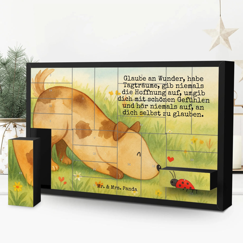 Fillable advent calendar Dog ladybug Design Adventskalender 24 Boxen, Weihnachtskalender Zum Befüllen, Adventskalender Zum Befüllen, Erwachsenen Adventskalender, Weihnachtskalender Boxen, Kalender Zum Befüllen, Bastel Adventskalender, Geschenke Adventskalender, Adventskalender Schachteln, Adventskalender Zum Selbst Befüllen, Adventskalender leer, Tisch Adventskalender, Befüllbarer Adventskalender, Karton Adventskalender, Adventskalender für Erwachsene, Adventskalender Karton, Adventskalender Schachtel, Schachtel Adventskalender, Weihnachtskalender Selbst Befüllen, Adventskalender Zum Aufstellen, Diy Adventskalender, Leerer Adventskalender, Adventskalender ohne Inhalt, Adventskalender Boxen, Adventskalender Selbst Befüllen, Adventskalender mit 24 Schachteln, Weihnachtskalender Schachteln, Adventskalender Deko, Geschenkekalender, Adventskalender, Adventskalender Zum Füllen, Adventskalender Box, Weihnachtskalender, Sprüche, Hund, Hunderasse, Hundebesitzer, Hundemotiv, Haustier, Tierliebhaber, Hundespruch, Marienkäfer, Mischlinghund, Mischling, Hunde