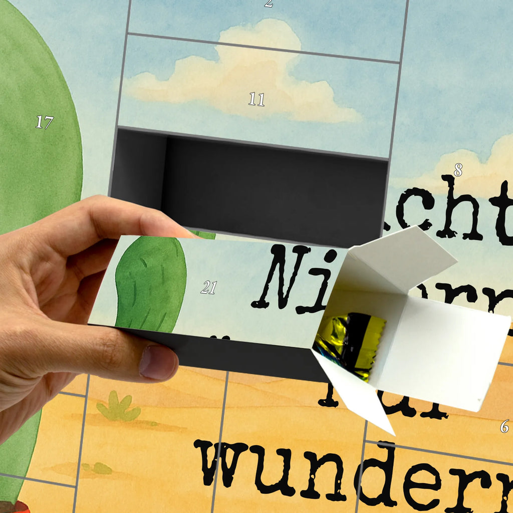  Kaktus gniew Design Kaktus, Kaktusy