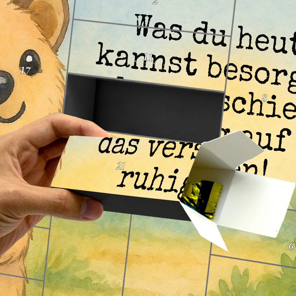 Fillable advent calendar Quokka Happy Design Adventskalender Zum Aufstellen, Adventskalender Box, Weihnachtskalender Schachteln, Adventskalender Schachteln, Bastel Adventskalender, Geschenkekalender, Adventskalender Selbst Befüllen, Adventskalender Karton, Weihnachtskalender Selbst Befüllen, Adventskalender Schachtel, Adventskalender 24 Boxen, Weihnachtskalender Boxen, Geschenke Adventskalender, Adventskalender Deko, Adventskalender Zum Selbst Befüllen, Adventskalender leer, Weihnachtskalender Zum Befüllen, Adventskalender ohne Inhalt, Karton Adventskalender, Schachtel Adventskalender, Befüllbarer Adventskalender, Kalender Zum Befüllen, Erwachsenen Adventskalender, Adventskalender mit 24 Schachteln, Weihnachtskalender, Adventskalender, Adventskalender für Erwachsene, Tisch Adventskalender, Leerer Adventskalender, Adventskalender Zum Füllen, Diy Adventskalender, Adventskalender Boxen, Adventskalender Zum Befüllen, Lustige Sprüche, Tiere, Tiermotive, Gute Laune, Dinge Erledigen, Quokka, Lustiger Spruch, Niedliches Tier, Aufschieberitis, Verschieben