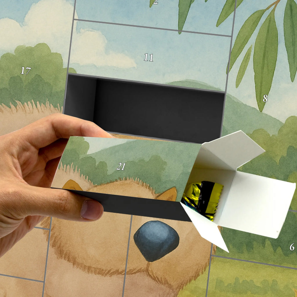  Wombat Design Motywy zwierzęce, dobra energia, zabawne powiedzonka, zwierzęta