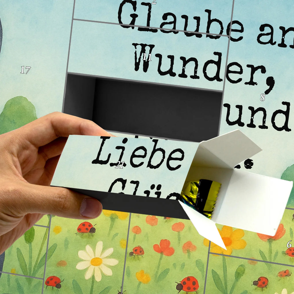 Fillable advent calendar Penguin ladybug Design Advent calendar, Advent calendar men, self filling, Advent calendar 2020, Advent calendar women, Penguin, North Pole, Winter, Penguins, wonder, penguins, joy, joy of life, ladybird, love, happiness