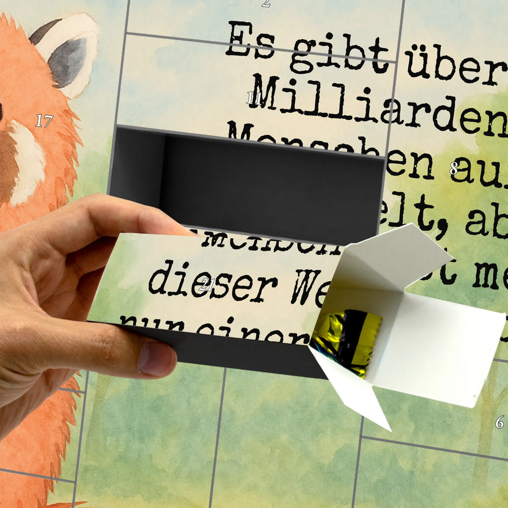 Fillable advent calendar red panda Design Advent calendar, Advent calendar 2020, self filling, Advent calendar women, Advent calendar men, small animals, cute, funny, cute animal motives, hand drawn, small world, funny sayings, good mood, happy, gifts, gift ideas, special gifts, animal lover, card, red, Panda, heart, love, darling, favourite person