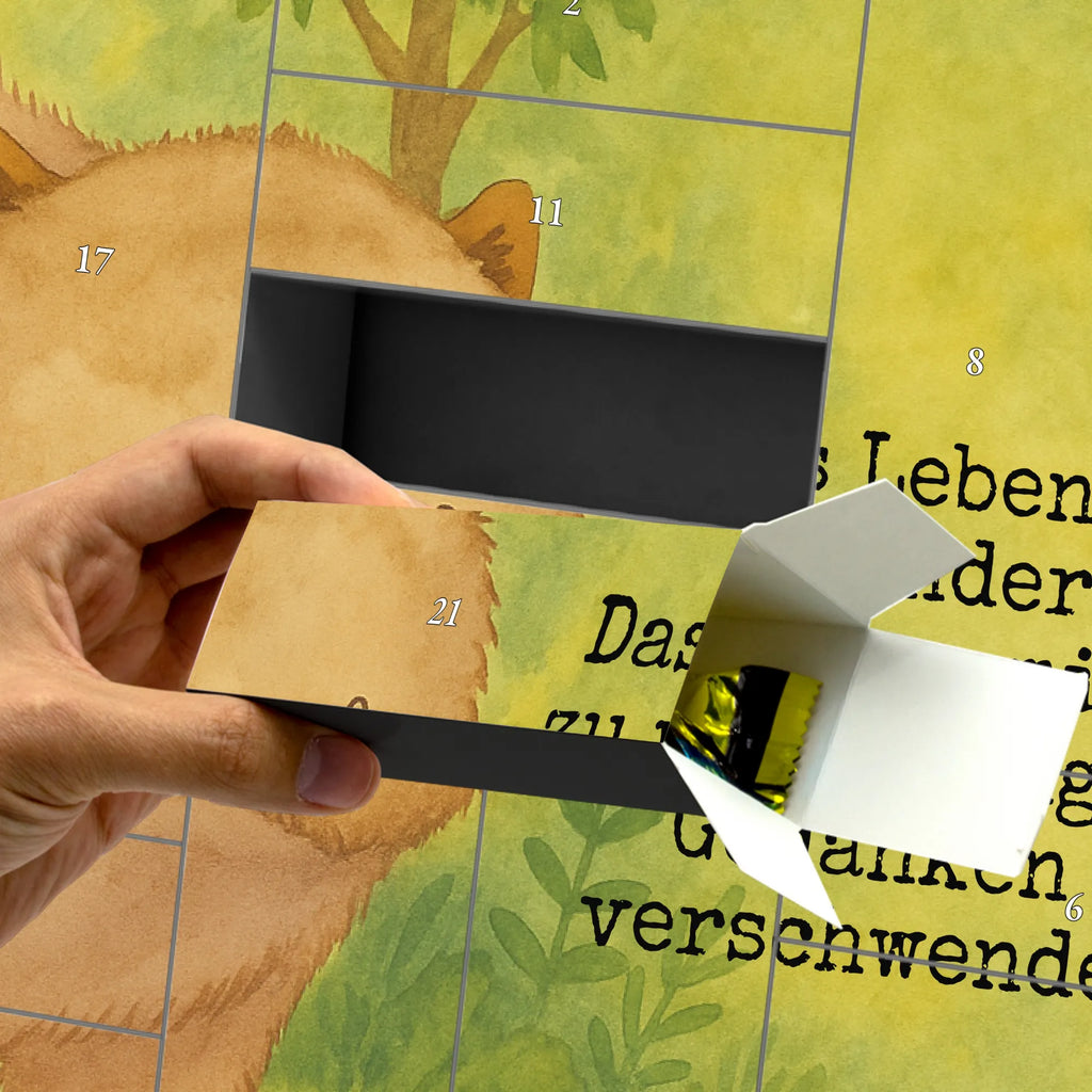  Wombat Design Motywy zwierzęce, dobra energia, zabawne powiedzonka, zwierzęta