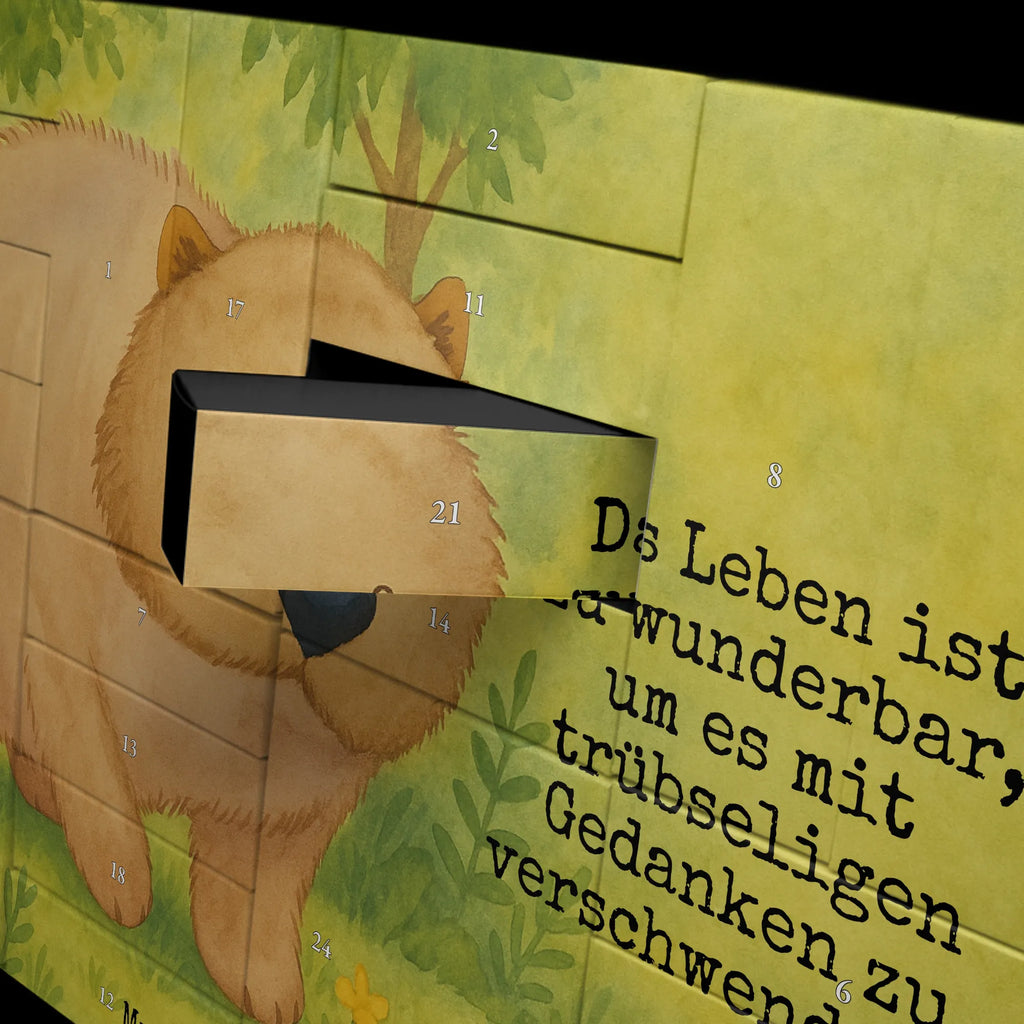  Wombat Design Motywy zwierzęce, dobra energia, zabawne powiedzonka, zwierzęta