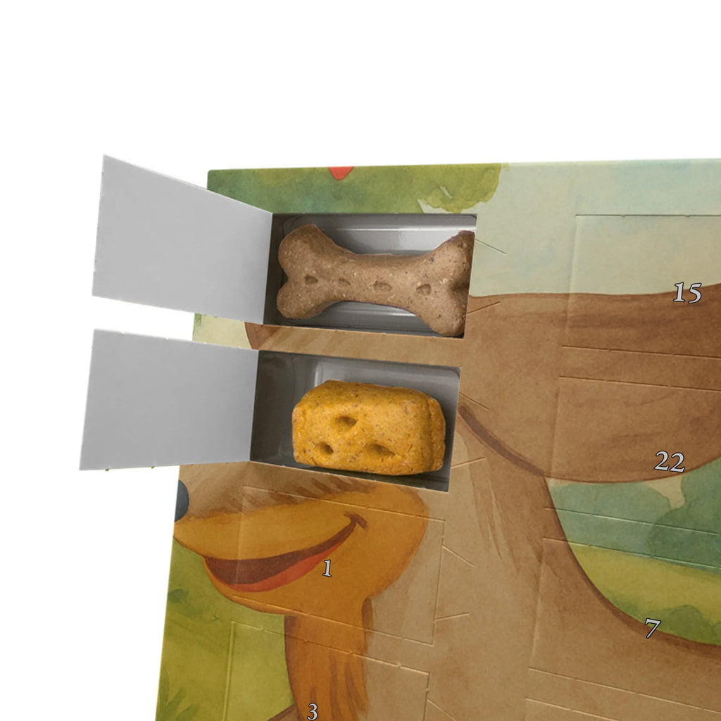 Personalisierter Hunde Adventskalender Hund Dackel Design Hunde Adventskalender, Sprüche, Hund, Hunderasse, Hundebesitzer, Hundemotiv, Haustier, Tierliebhaber, Hunde, Happy Dog, Dackel, Dachshund