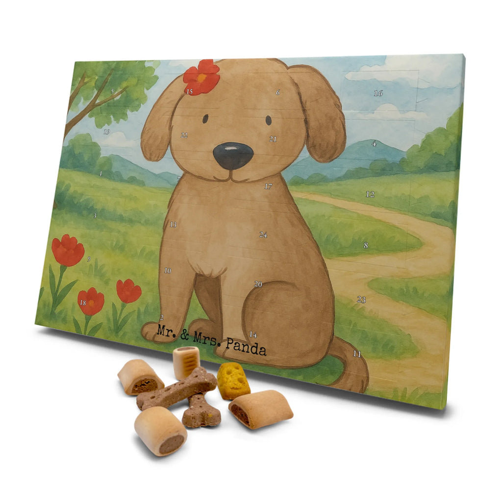 Hunde Adventskalender Hund Dame Design Adventskalender für Hunde, Hunde Adventskalender, Weihnachtskalender, Kalender, Sprüche, Hund, Hunderasse, Hundebesitzer, Hundemotiv, Haustier, Tierliebhaber, Hunde, Frauchen, Hundeliebe, Liebe, Hundeglück