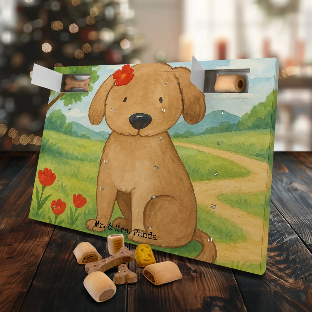 Hunde Adventskalender Hund Dame Design Adventskalender für Hunde, Hunde Adventskalender, Weihnachtskalender, Kalender, Sprüche, Hund, Hunderasse, Hundebesitzer, Hundemotiv, Haustier, Tierliebhaber, Hunde, Frauchen, Hundeliebe, Liebe, Hundeglück