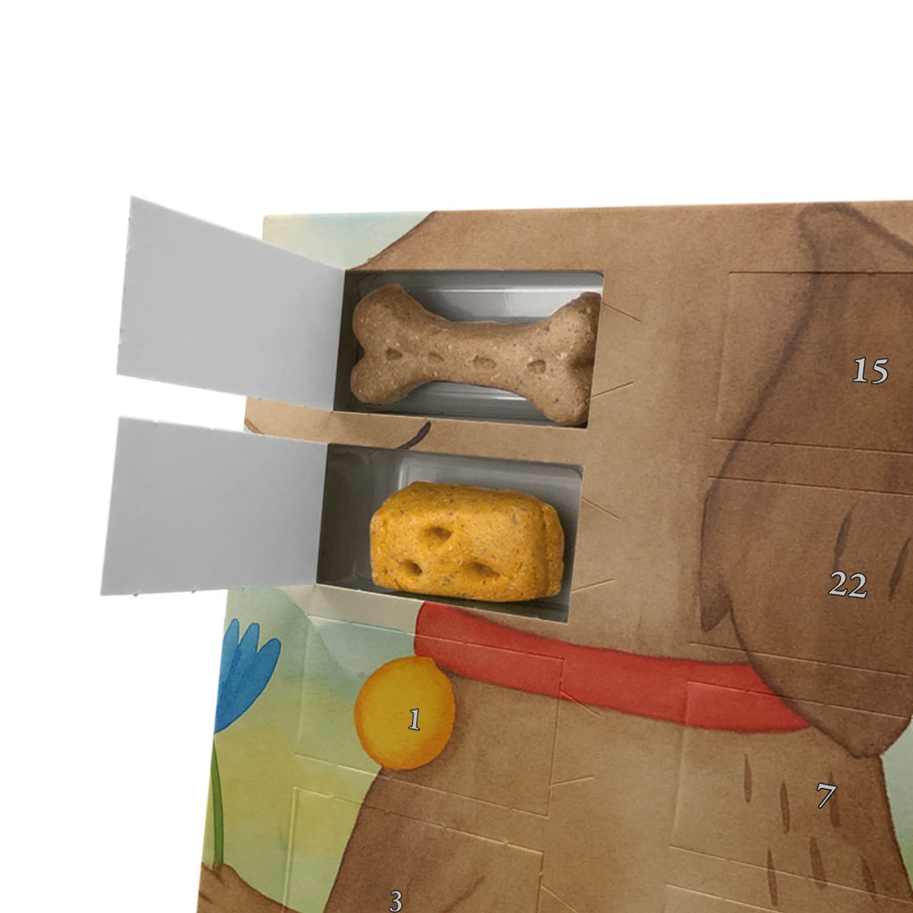 Personalisierter Hunde Adventskalender Hund Blume Design Hunde Adventskalender, Sprüche, Hund, Hunderasse, Hundebesitzer, Hundemotiv, Haustier, Tierliebhaber, Hunde, Hundeliebe, Frauchen