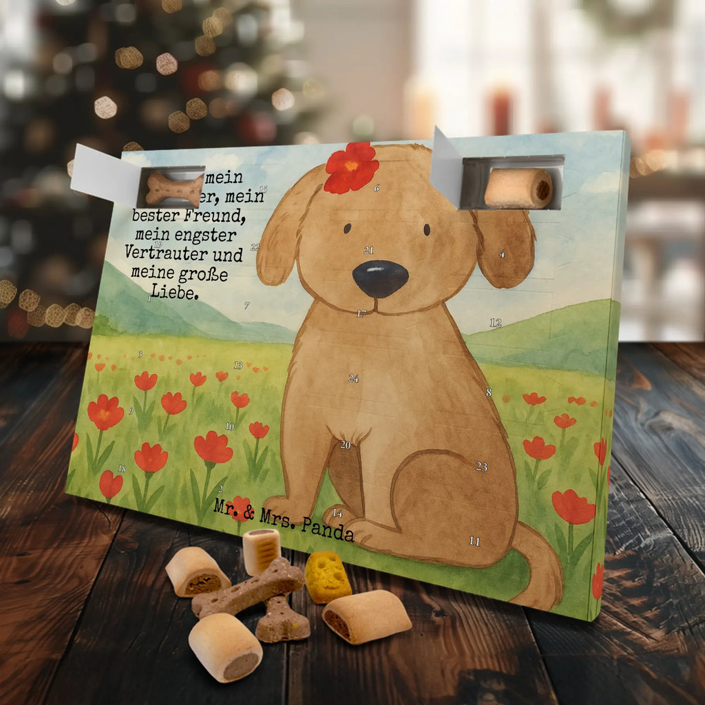 Hunde Adventskalender Hund Dame Design Adventskalender für Hunde, Hunde Adventskalender, Weihnachtskalender, Kalender, Sprüche, Hund, Hunderasse, Hundebesitzer, Hundemotiv, Haustier, Tierliebhaber, Hunde, Frauchen, Hundeliebe, Liebe, Hundeglück