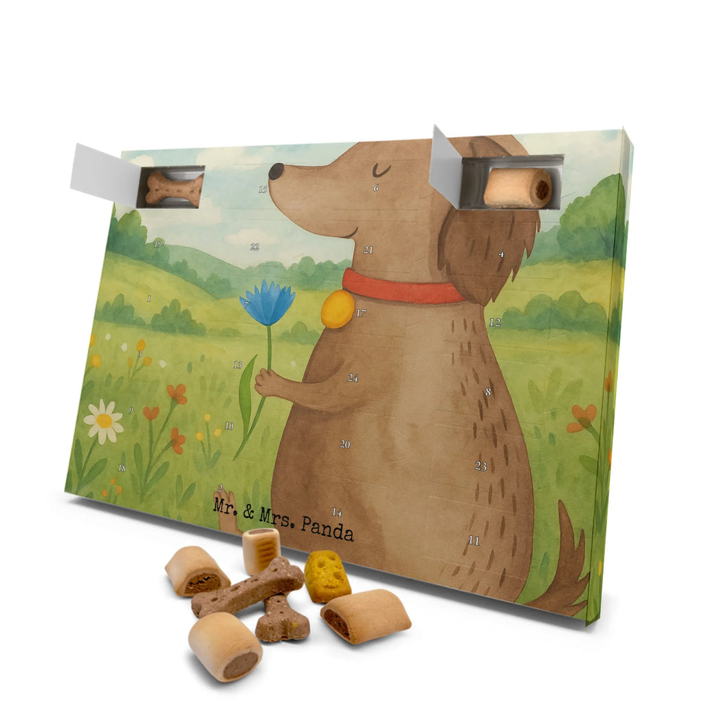 Hunde Adventskalender Hund Blume Design Adventskalender für Hunde, Hunde Adventskalender, Weihnachtskalender, Kalender, Sprüche, Hund, Hunderasse, Hundebesitzer, Hundemotiv, Haustier, Tierliebhaber, Frauchen, Hundeliebe, Hunde