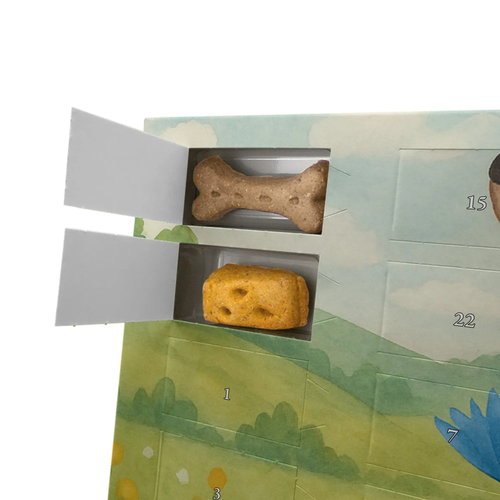 Hunde Adventskalender Hund Blume Design Adventskalender für Hunde, Hunde Adventskalender, Weihnachtskalender, Kalender, Sprüche, Hund, Hunderasse, Hundebesitzer, Hundemotiv, Haustier, Tierliebhaber, Frauchen, Hundeliebe, Hunde