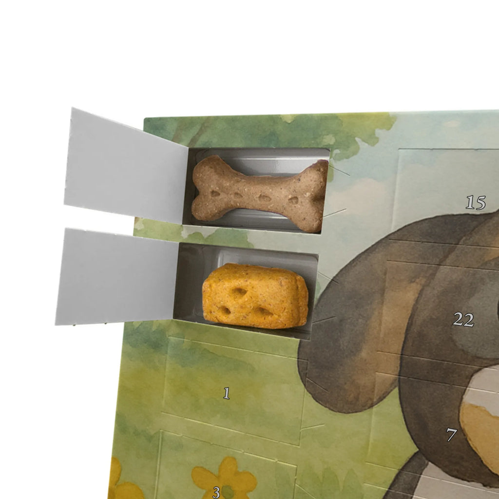 Hunde Adventskalender Hund Entspannen Design Kalender, Adventskalender für Hunde, Weihnachtskalender, Hunde Adventskalender, Sprüche, Hund, Hunderasse, Hundebesitzer, Hundemotiv, Haustier, Tierliebhaber, Hundeglück, Schwarzer Hund, Hundeliebe, Liebe