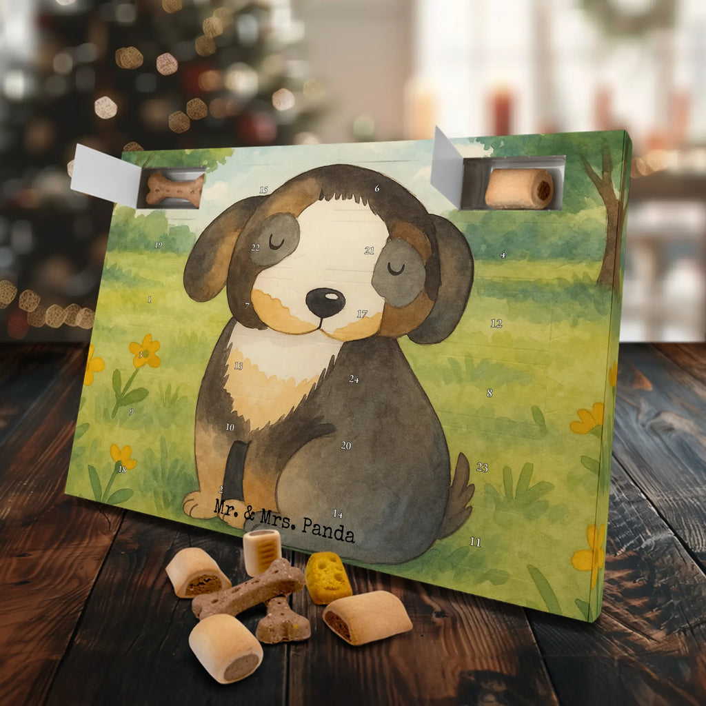 Hunde Adventskalender Hund Entspannen Design Kalender, Adventskalender für Hunde, Weihnachtskalender, Hunde Adventskalender, Sprüche, Hund, Hunderasse, Hundebesitzer, Hundemotiv, Haustier, Tierliebhaber, Hundeglück, Schwarzer Hund, Hundeliebe, Liebe