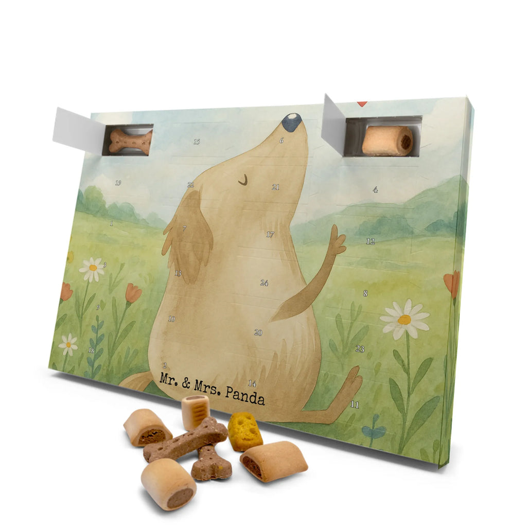 Hunde Adventskalender Hund Liebe Design Hunde Adventskalender, Adventskalender für Hunde, Kalender, Weihnachtskalender, Sprüche, Hund, Hunderasse, Hundebesitzer, Hundemotiv, Haustier, Tierliebhaber, Frauchen, Liebe, Hundeliebe, Hundeglück, Hunde