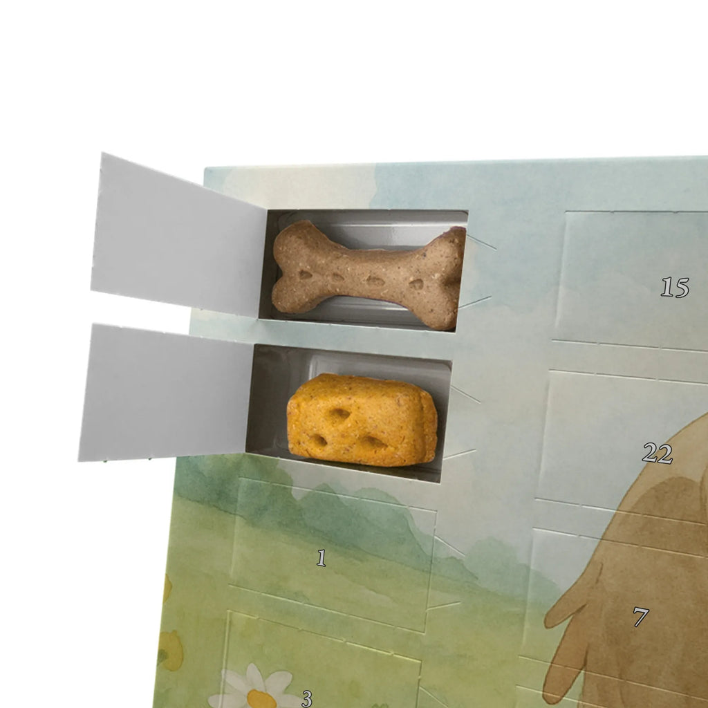 Hunde Adventskalender Hund Liebe Design Hunde Adventskalender, Adventskalender für Hunde, Kalender, Weihnachtskalender, Sprüche, Hund, Hunderasse, Hundebesitzer, Hundemotiv, Haustier, Tierliebhaber, Frauchen, Liebe, Hundeliebe, Hundeglück, Hunde