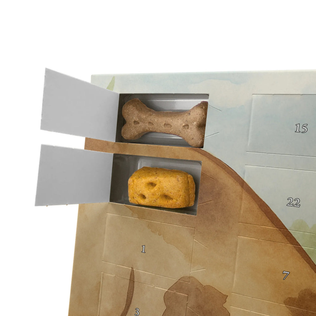 Hunde Adventskalender Hund Marienkäfer Design Adventskalender für Hunde, Kalender, Hunde Adventskalender, Weihnachtskalender, Sprüche, Hund, Hunderasse, Hundebesitzer, Hundemotiv, Haustier, Tierliebhaber, Hunde, Mischlinghund, Mischling, Marienkäfer, Hundespruch