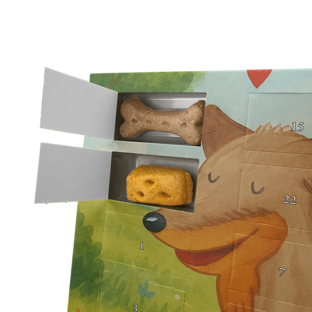 Hunde Adventskalender Hund Dackel Design Adventskalender für Hunde, Hunde Adventskalender, Weihnachtskalender, Kalender, Sprüche, Hund, Hunderasse, Hundebesitzer, Hundemotiv, Haustier, Tierliebhaber, Dachshund, Hunde, Happy Dog, Dackel