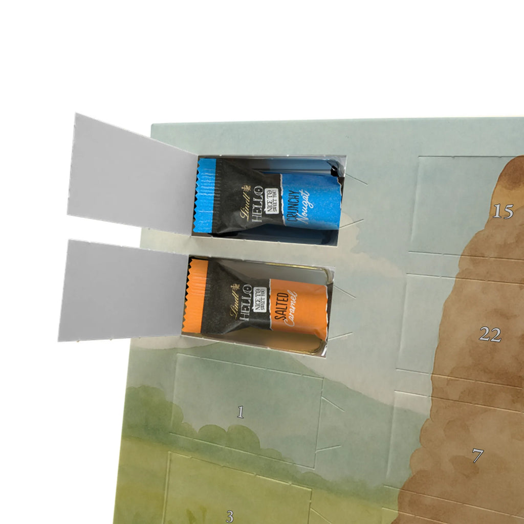 Chocolate advent calendar alpaca banner Design alpaca, animal, llama, pako, camel, Peru, favourite animal, alpacas, llamas, Alpaca