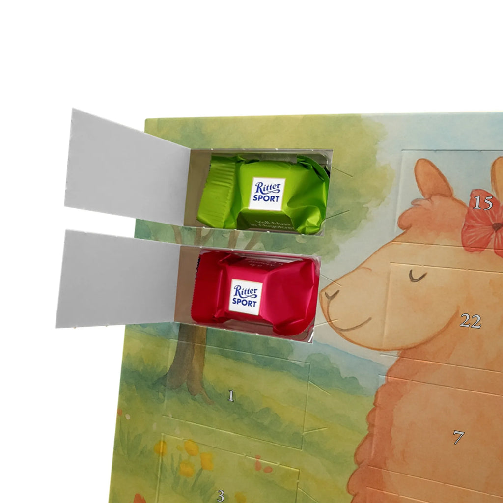 Chocolate advent calendar alpaca Proud Design alpaca, animal, llama, pako, camel, Peru, favourite animal