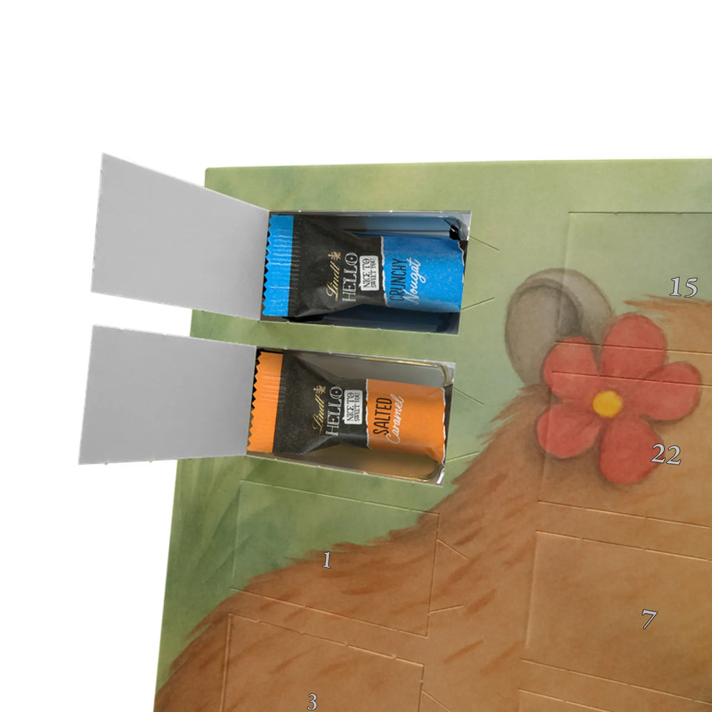 Chocolate advent calendar Capybara flower Design gift ideas, gifts, card, animal lover, special gifts, good mood, funny sayings, hand drawn, cute animal motives, cute, small animals