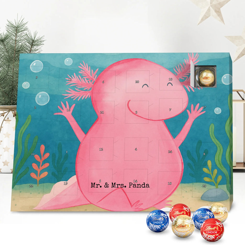 Chocolate advent calendar axolotl Hooray Design Axelotl, marine animals, Mexican walking fish, salamander, fun, joy, cheerful, satisfaction, tail, amphibian