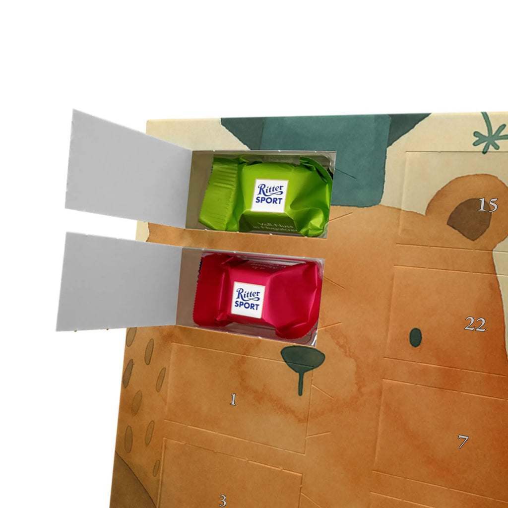 Chocolate advent calendar bear Test Design teddy bear, cuddly toy, diploma, degree, certificate, examinations, examination passed