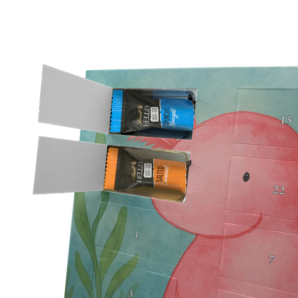 Chocolate advent calendar axolotl zero Design Axelotl, marine animals, Mexican walking fish, salamander, wisdom, worldly wisdom, contented, cheerful, lifestyle, girlfriend