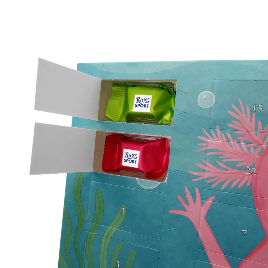 Chocolate advent calendar axolotl Hooray Design Axelotl, marine animals, Mexican walking fish, salamander, fun, joy, cheerful, satisfaction, tail, amphibian