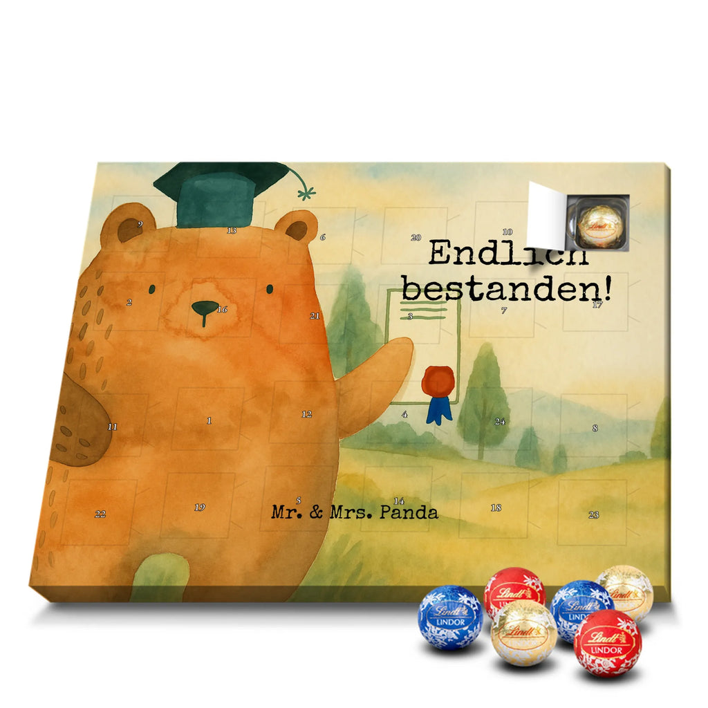 Chocolate advent calendar bear Test Design teddy bear, cuddly toy, diploma, degree, certificate, examinations, examination passed