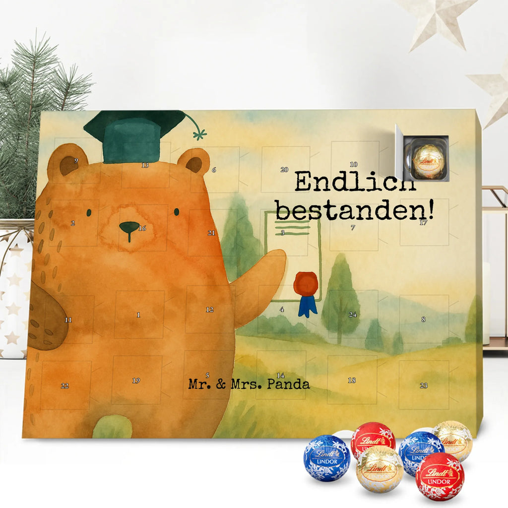 Chocolate advent calendar bear Test Design teddy bear, cuddly toy, diploma, degree, certificate, examinations, examination passed