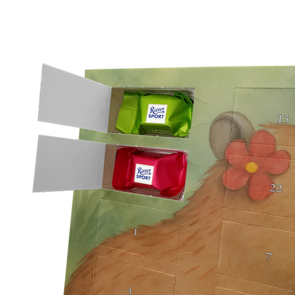 Chocolate advent calendar Capybara flower Design gift ideas, gifts, card, animal lover, special gifts, good mood, funny sayings, hand drawn, cute animal motives, cute, small animals