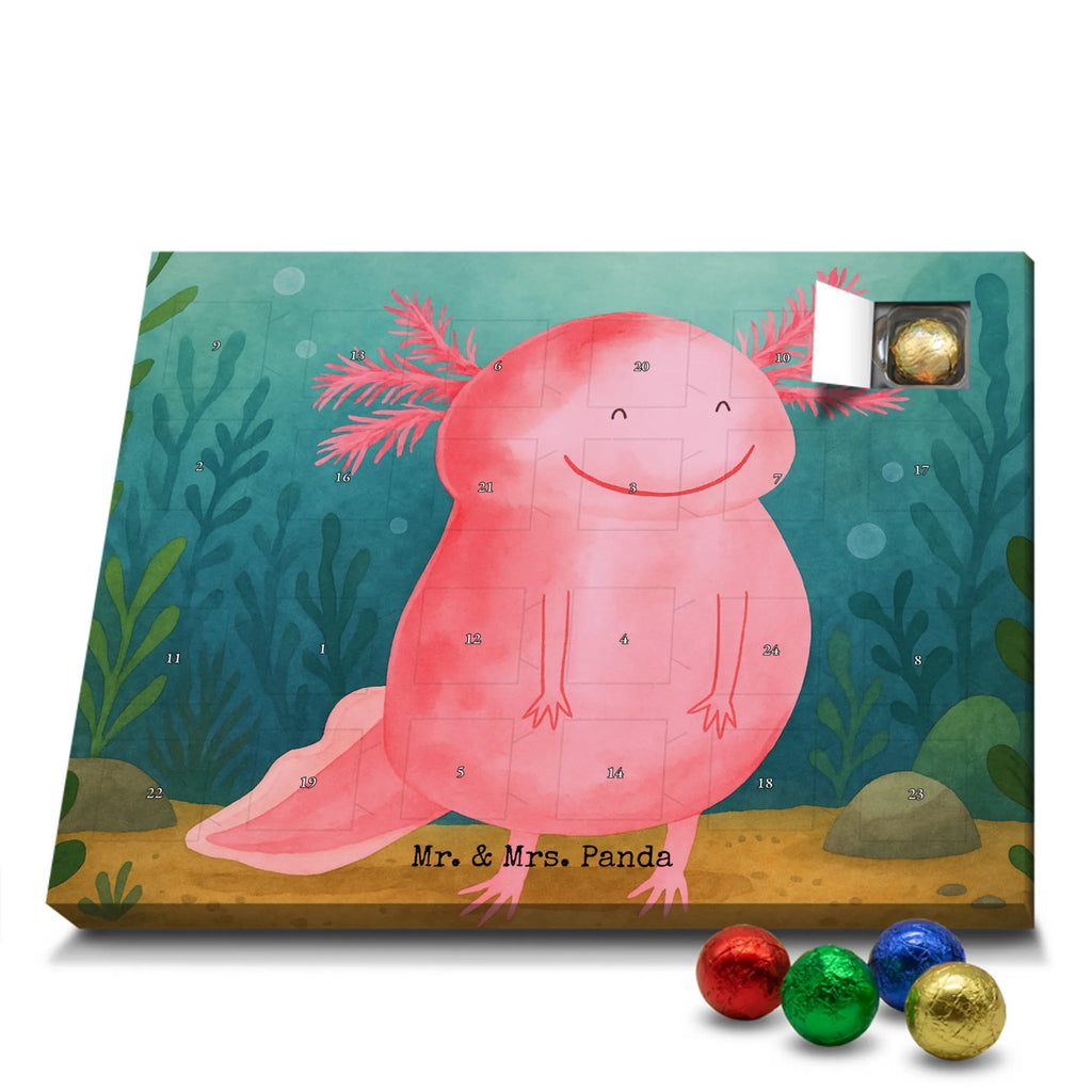 Chocolate advent calendar axolotl Happy Design Axelotl, marine animals, Mexican walking fish, salamander, good mood, tail, amphibian
